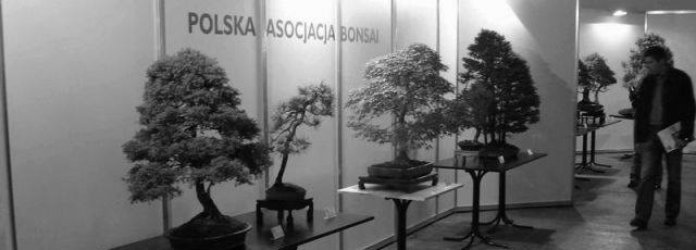 Wystawa Bonsai Polagra Poznań 2006