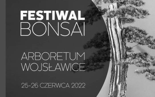 IV Festiwal Bonsai Wojsławice 2022
